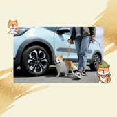 Honda ra mắt phụ kiện xe hơi lấy cảm hứng từ chó Shiba